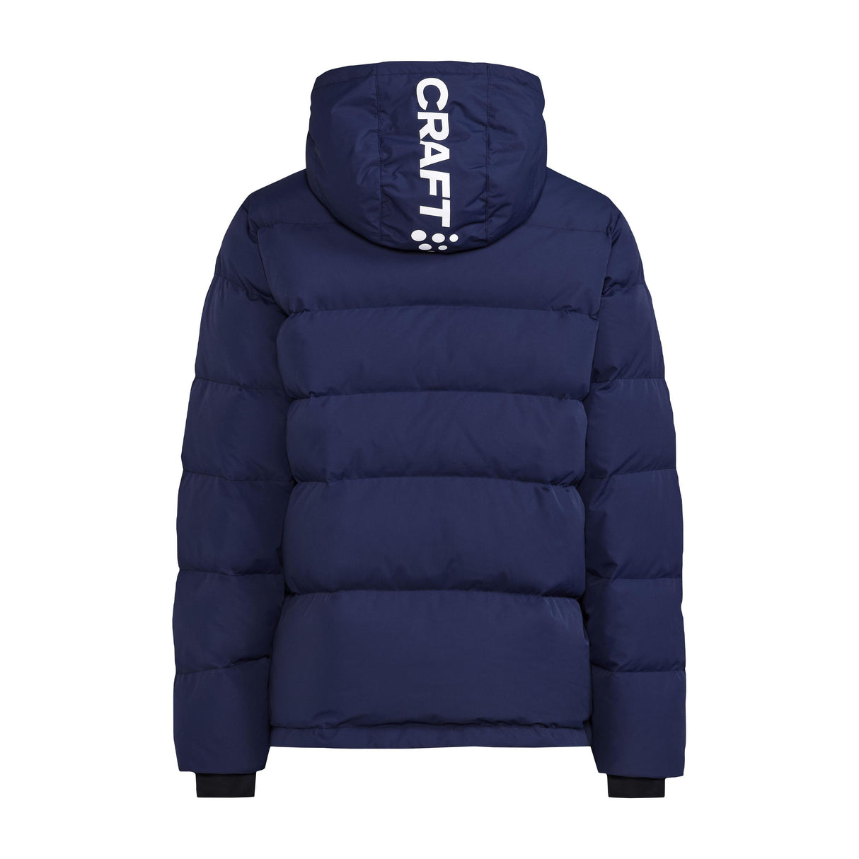 Evolve Down Jacket W - Navy - Back