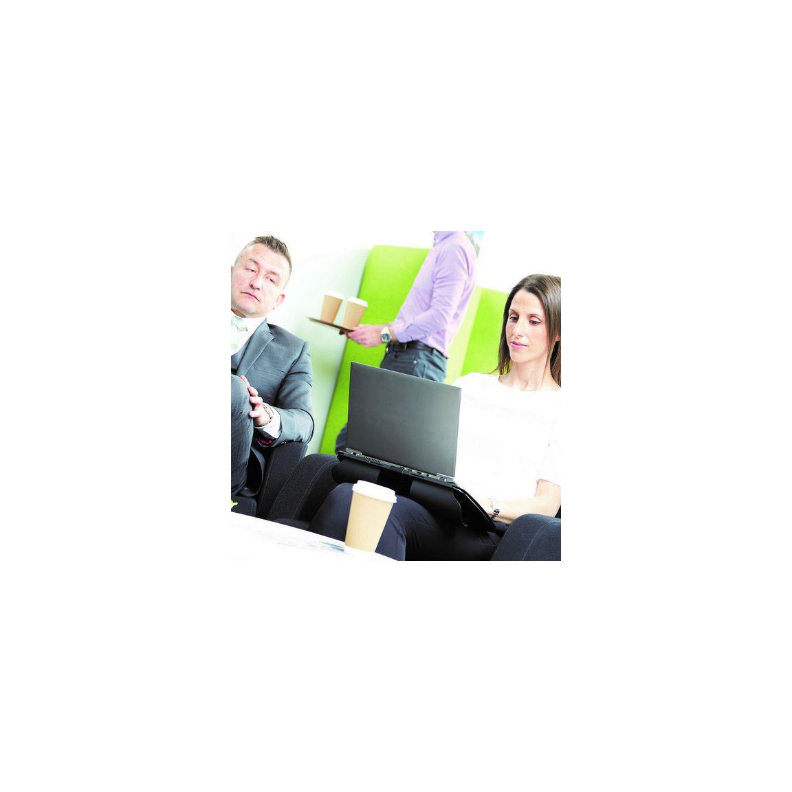 Privacy filter FELLOWES 13.3 wide 16:9