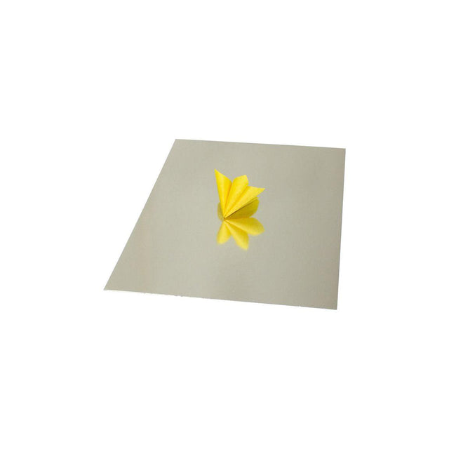 Mirror cardboard 25x35cm 280g silver 20/pack