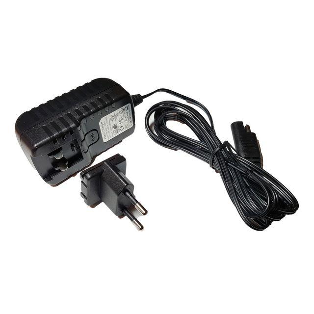 Charger Motor scrubber MS2000