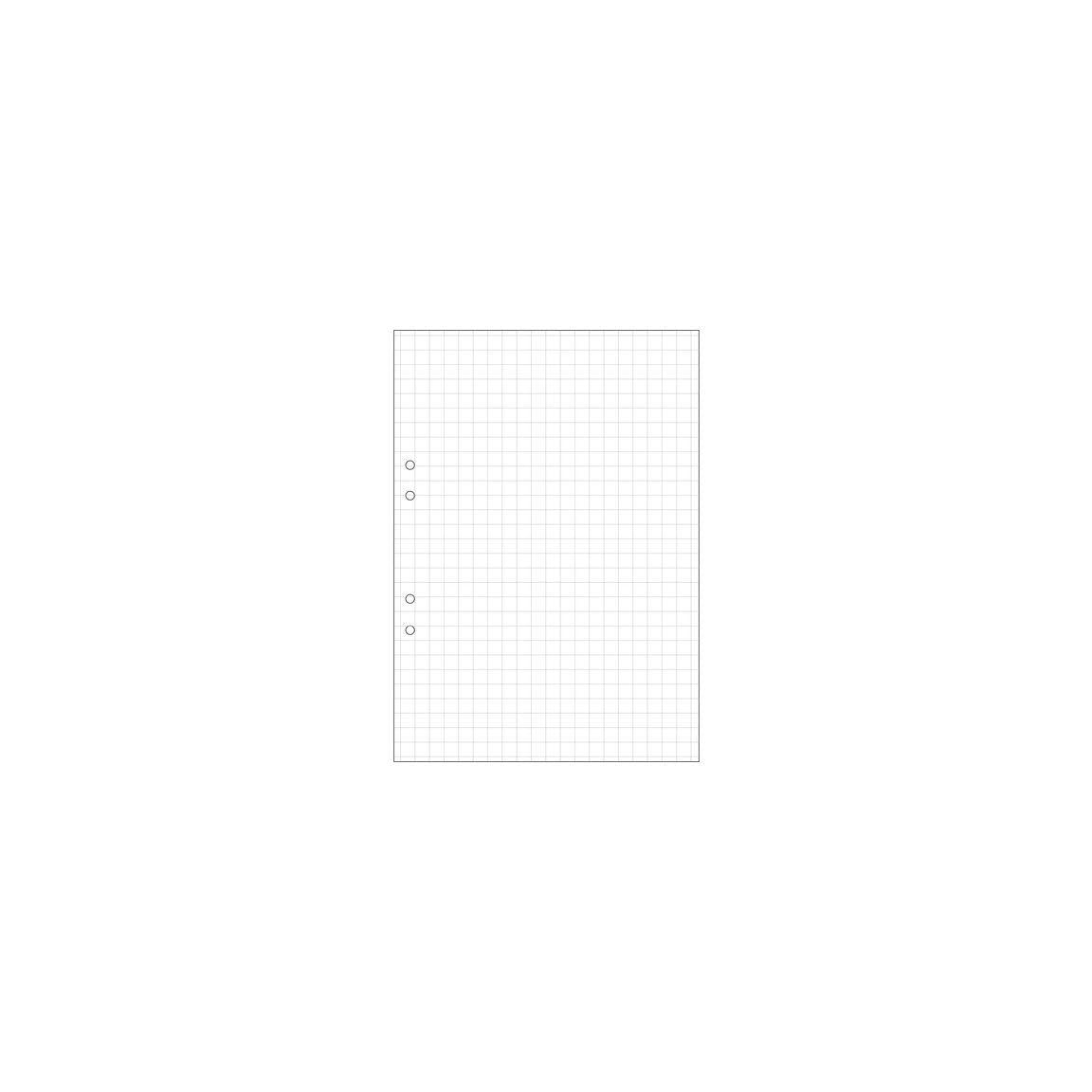 Loose leaf A4 squared 10x10mm perforated 500/pack