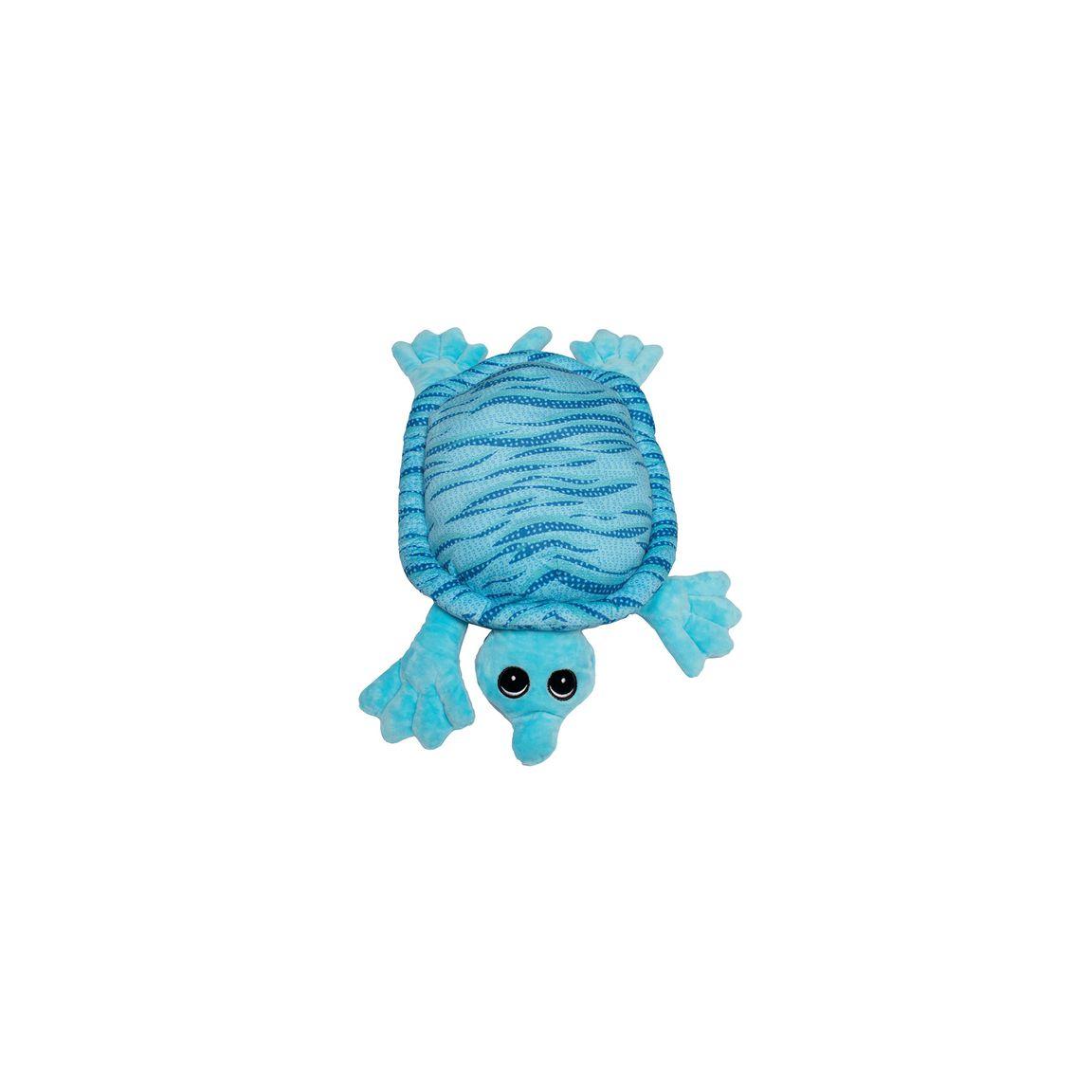 Turtle with weight 2kg