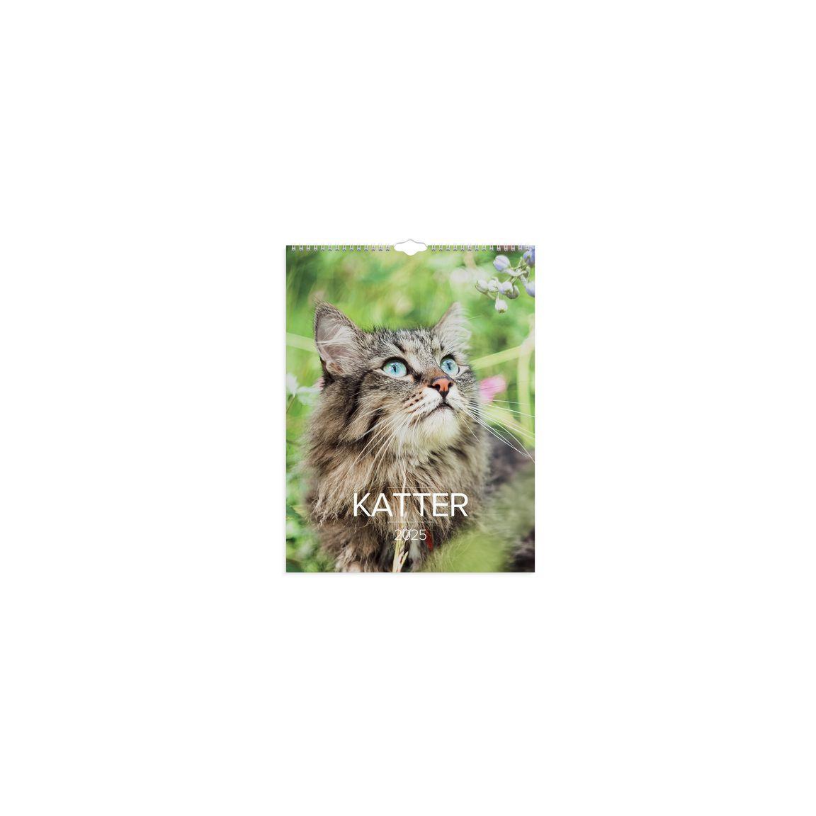 Wall calendar Big Cat Calendar 2025
