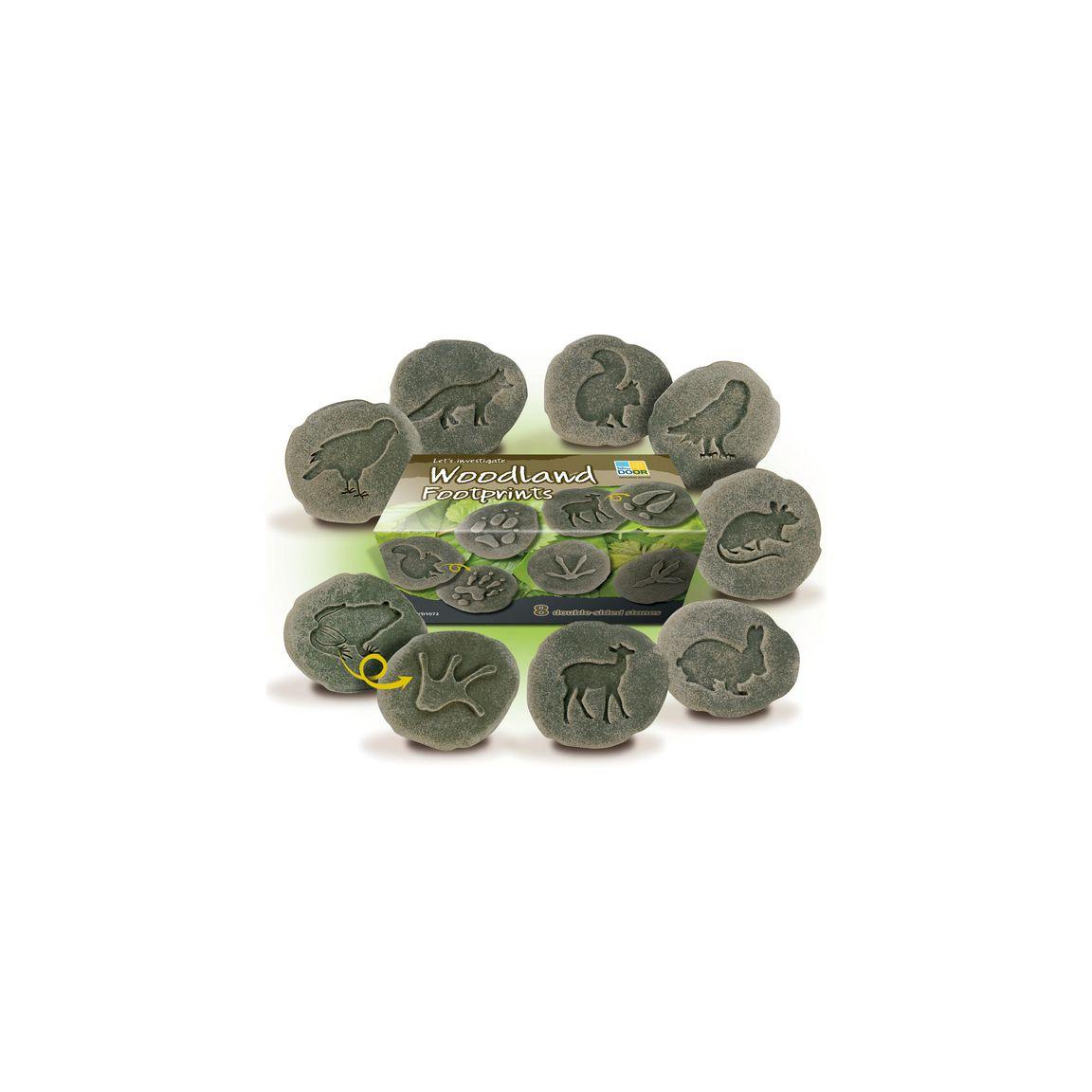 Examine Footprints from the forest of stone8/f