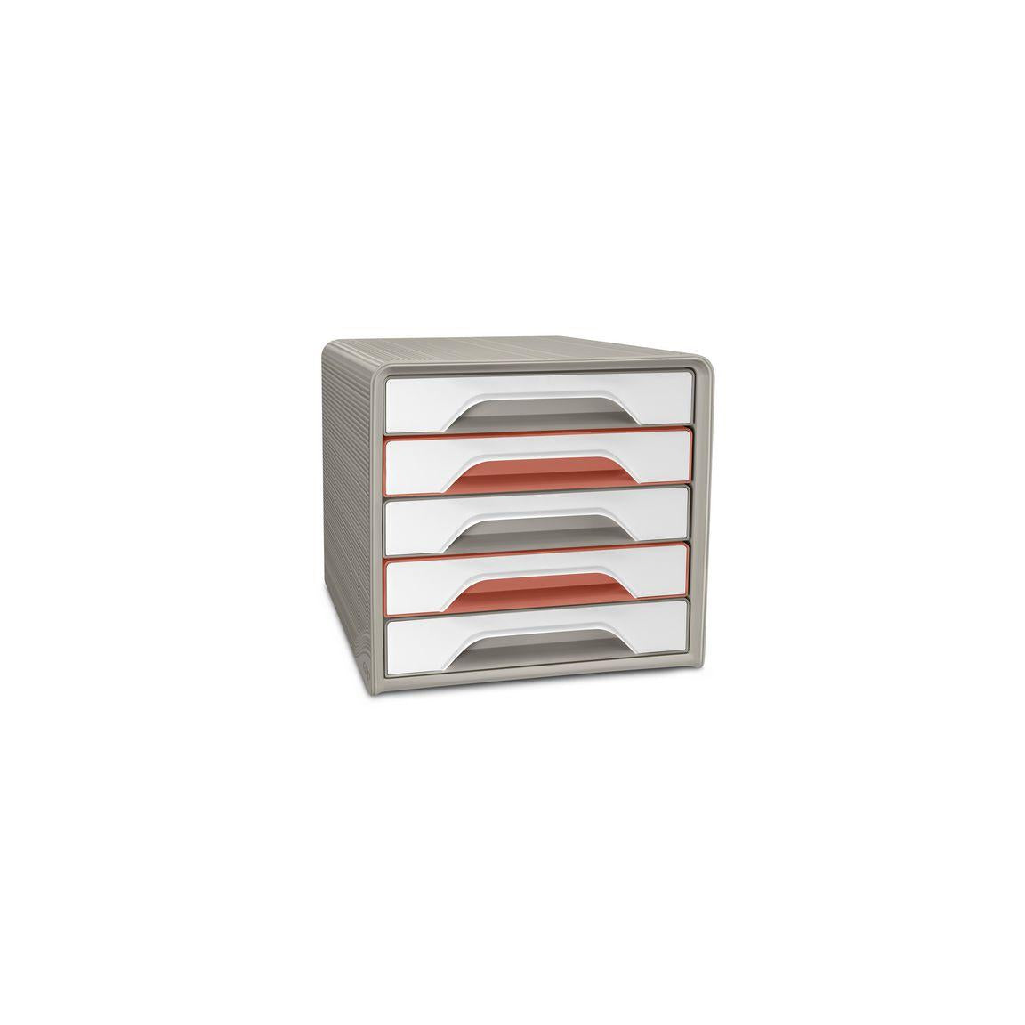 Form box CEP Terranova 5 compartments