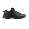 XA Pro 3D v8 GTX Shoe - Black
