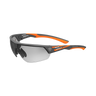 ARGOS Safety Glasses - Grey