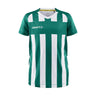 Progress 2.0 Stripe Jersey Jr - Green/White - Front