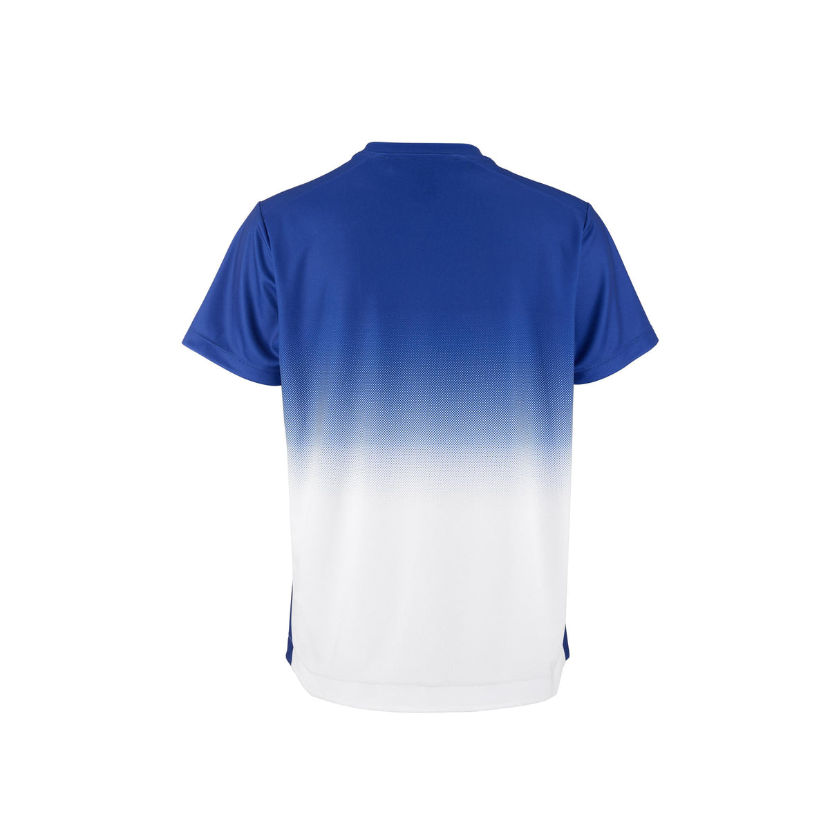 Evolve 2.0 Structured Graphic Jersey W - Club Cobolt/White - Back