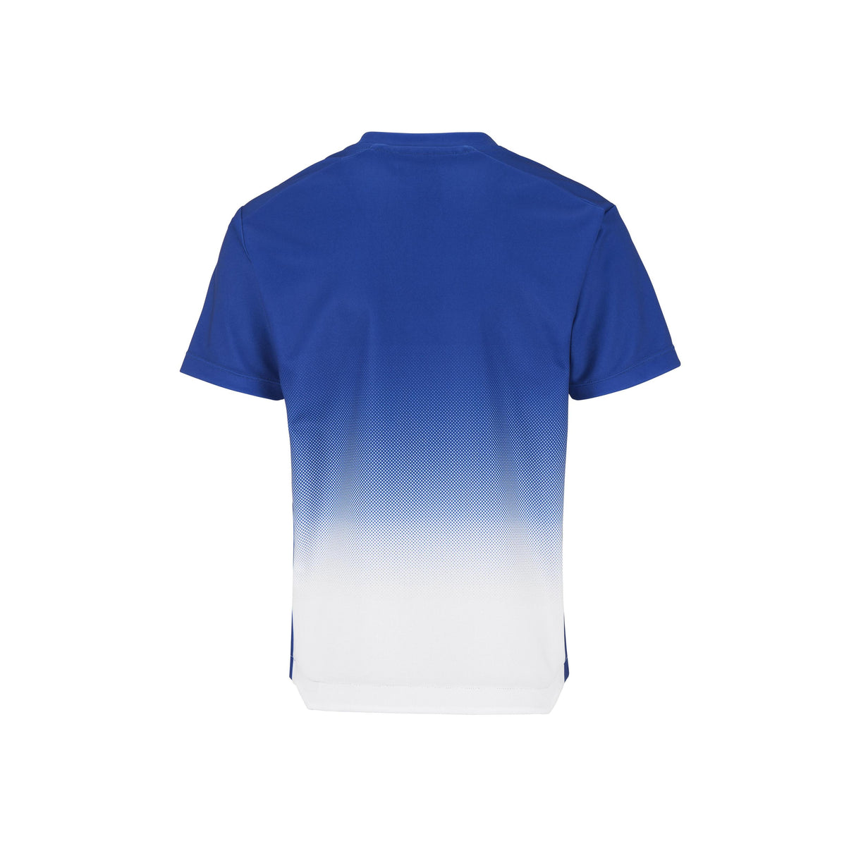 Evolve 2.0 Structured Graphic Jersey Jr - Club Cobolt/White - Back