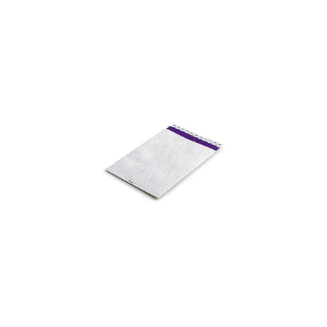 Bag TYVEK B4 PS 100/pack