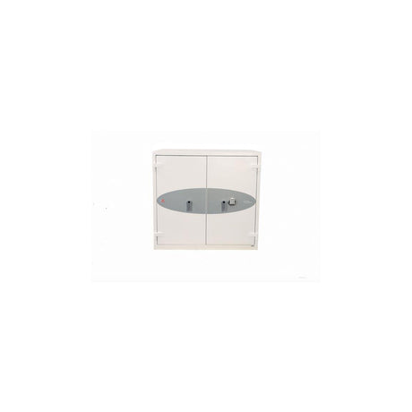 Security cabinet Phoenix Pro FS1921E/445 L