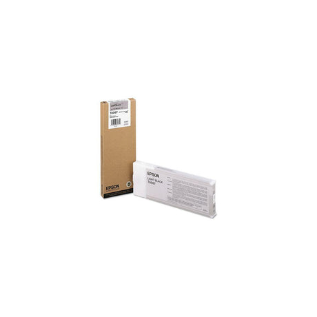 Ink cartridge EPSON C13T606700 light black