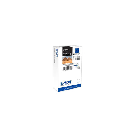 Ink cartridge EPSON C13T70114010 black