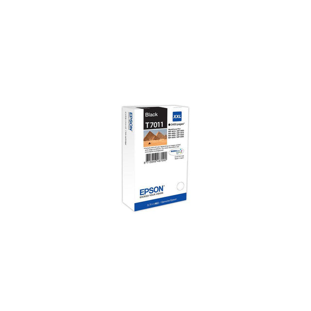 Ink cartridge EPSON C13T70114010 black