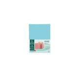 Folder EXACOMPTA 1 flap 160g blue 100/pc