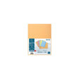 EXACOMPTA 1 flap folder 160g peach 100/pc