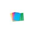 EXACOMPTA 2 flap folder 290g A4 sorted