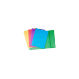 EXACOMPTA 2 flap folder 290g A4 sorted