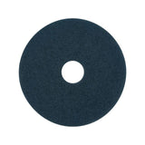 Washer SCOTCH-BRITE blue 18' 5/fp