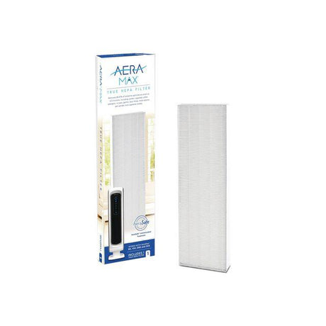 Hepafilter FELLOWES for DX5