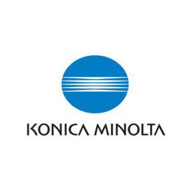 Toner KONICA MINOLTA A11G150 29K black