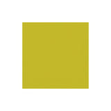 Napkin DUNI 1-ply 33x33cm Kiwi 500/pack