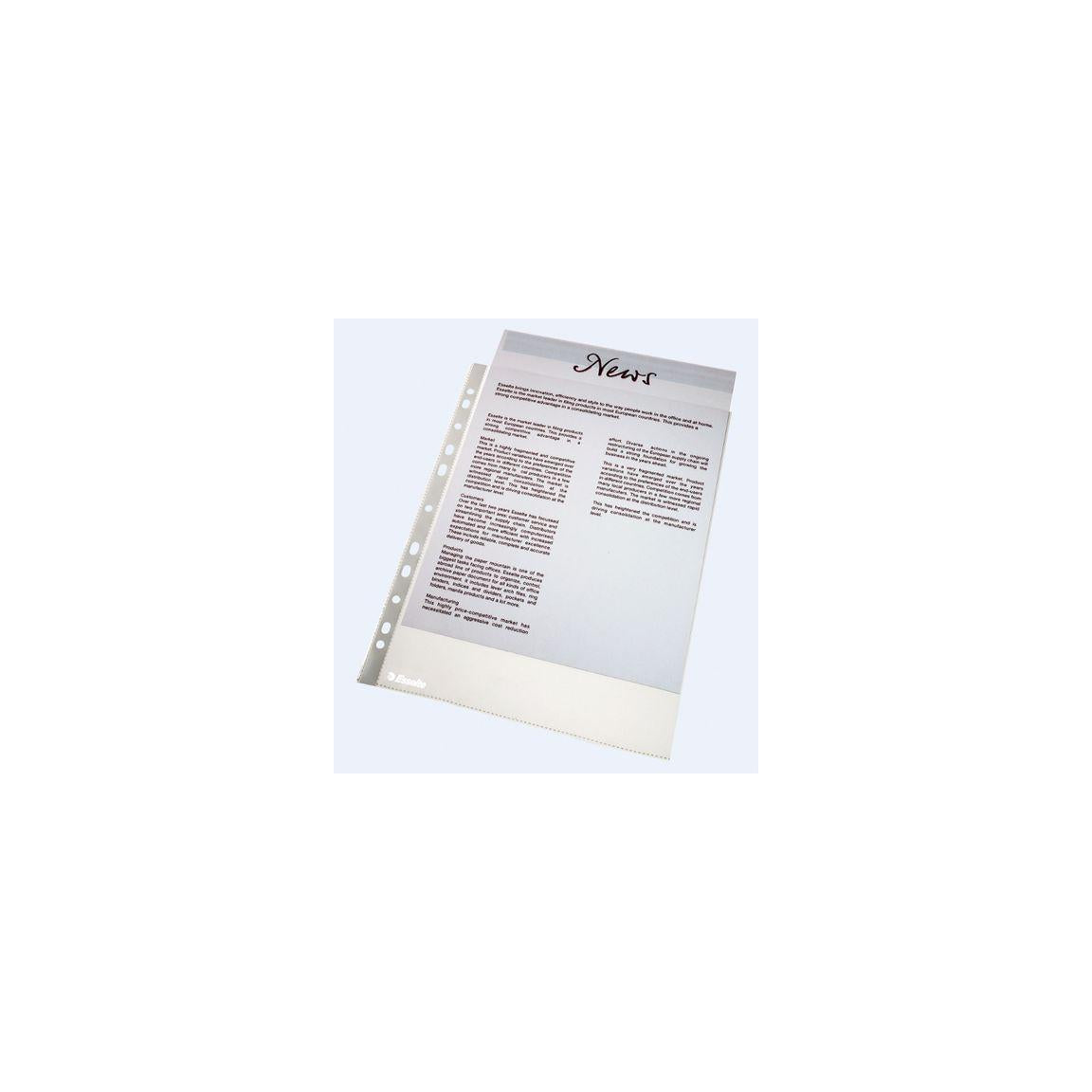 Plastic pocket ESSELTE PP A4 0,06 clear 100/F