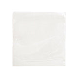 Napkin 2-ply EXACO 38x38cm white 40/pack