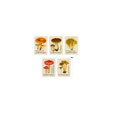Stamp domestic booklet 10/pack