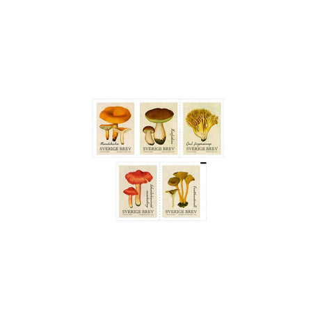 Stamp domestic booklet 10/pack