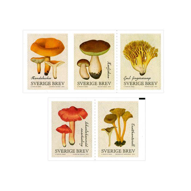 Stamp domestic booklet 10/pack