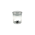 Magnifying jar 5x magnification