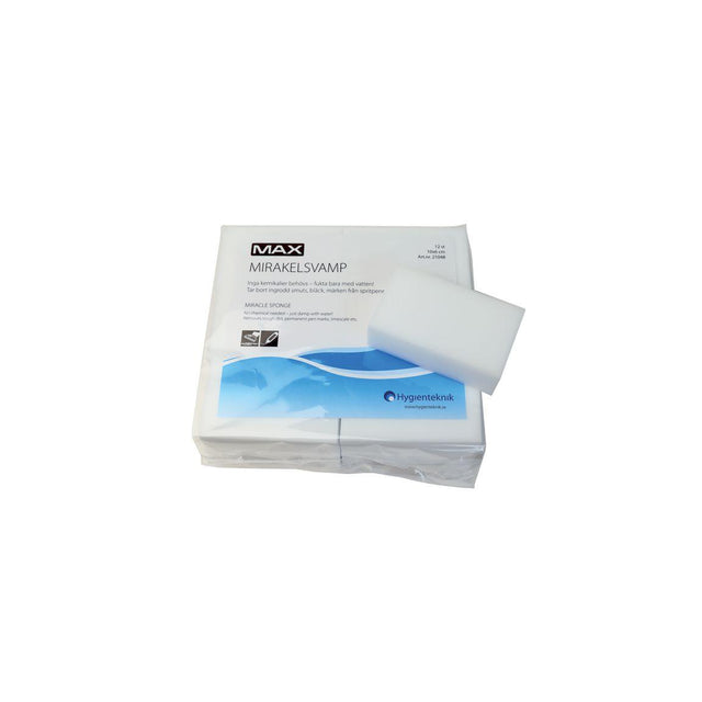 Miracle sponge MAX 10x6 cm