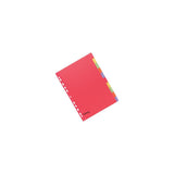 Card index LYRECO A4 10-page f.colour