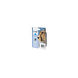 Ink cartridge EPSON C13T07124012 cyan