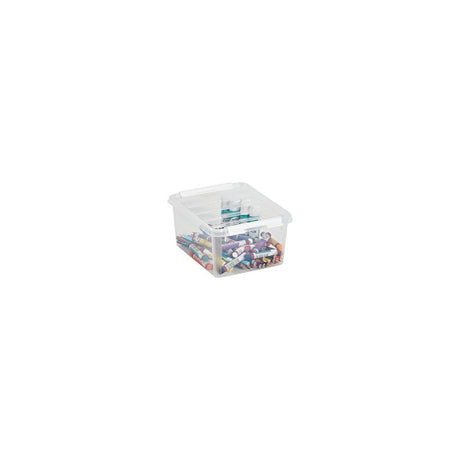 Storage boxes 2L 10/pack