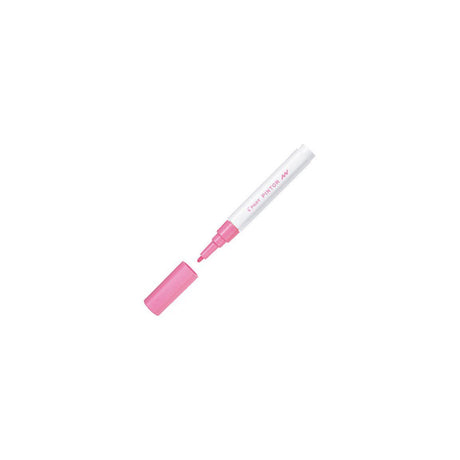 Marking pen PILOT Pintor F pink