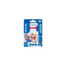 Marking pen PILOT Pintor F 6 colours/pack