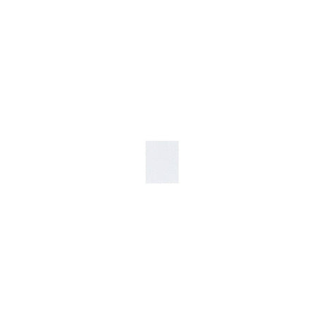 Napkin 1-ply 24x30cm white 300/pack