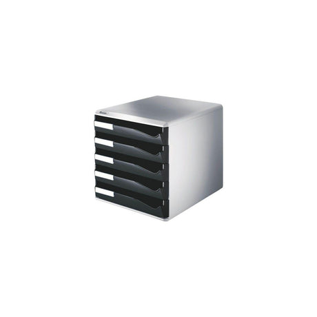 Form tray LEITZ 5 compartments black/grey