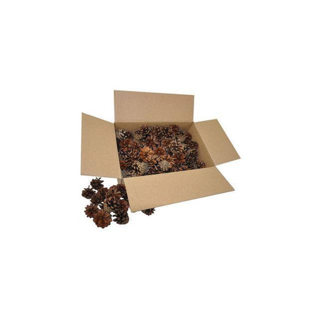 Pine cones 125/pack