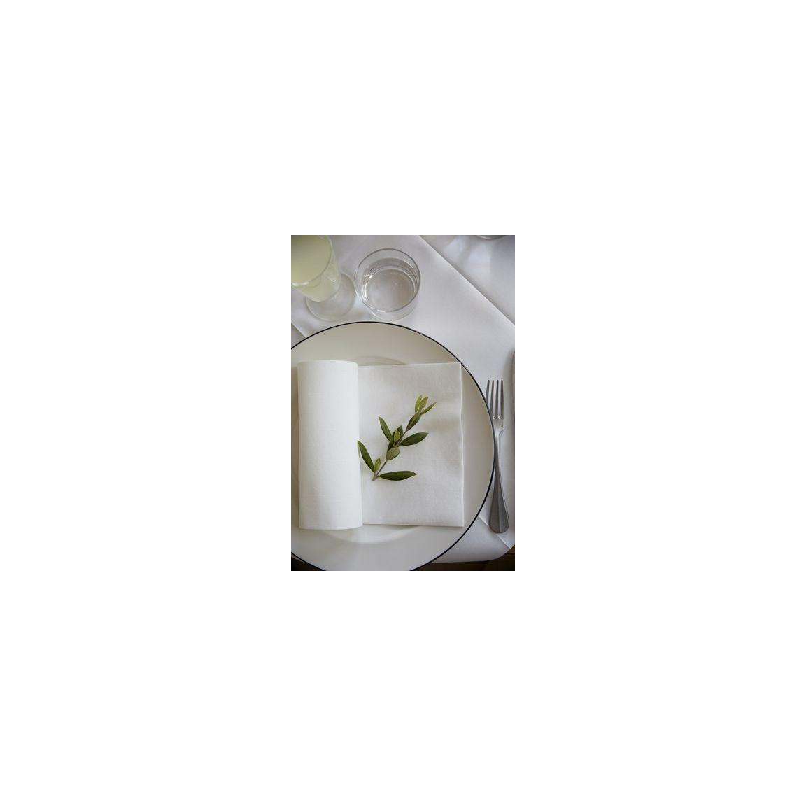 Napkin Dunilin 40x40cm white 45/pack