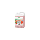 Sanitary clean SANET perfect 5L