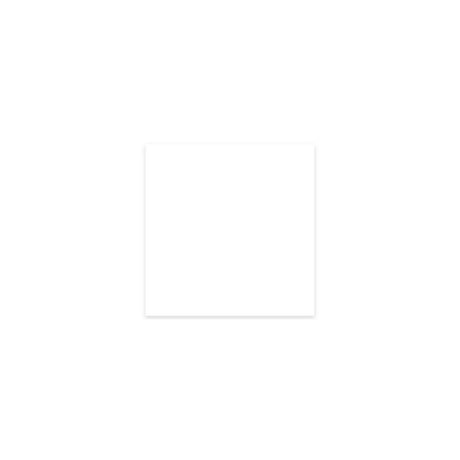 Price label 29x28mm G2 white 3500/pc