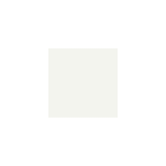 Napkin DUNI 2-ply 24x24cm white 300/pack
