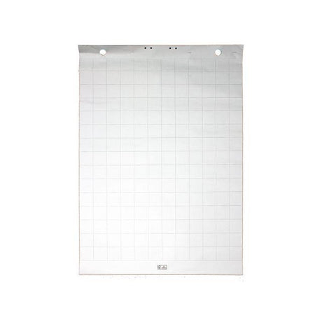 Flipchart 55x75cm ol/l/box 5/pack