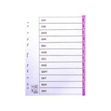 Register plastic tab Jan-Dec pink 10/pack