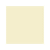 Napkin 2-ply 24x24cm vanilla 300/pack