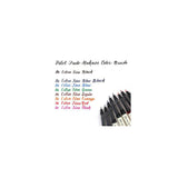 Fineliner PILOT Brush pen black blue